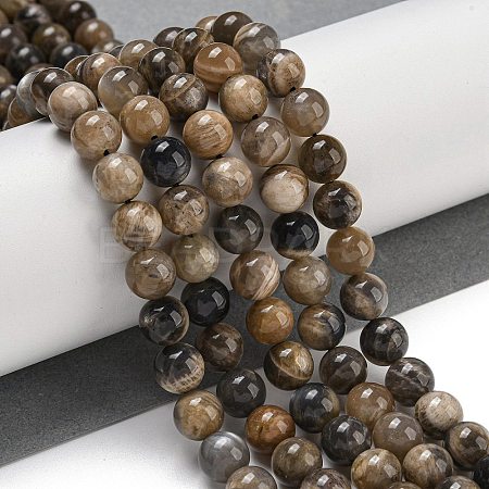 Natural Black Moonstone Beads Strands G-Q183-A01-01-1