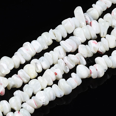 Natural Freshwater Shell Beads Strands SHEL-N003-23-A01-1