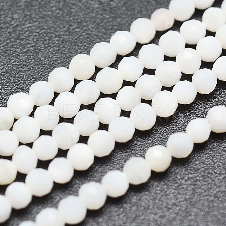 Natural White Shell Beads G-O166-26-2mm-1
