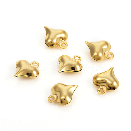 304 Stainless Steel Charms STAS-I149-05A-G-1