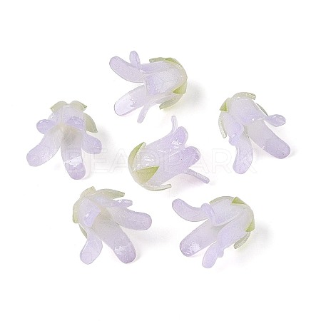 Heat Shrink Acrylic Bead Caps OACR-N155-04C-1