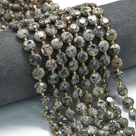 Natural Fluorescent Syenite Rock(Glow under UV Light) Beads Strands G-C116-A18-02-1