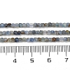 Natural Kyanite Beads Strands G-B088-E24-02-3