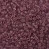 TOHO Round Seed Beads X-SEED-TR11-0006F-1