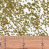 MIYUKI Delica Beads SEED-J020-DB2141-4