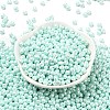 6/0 Glass Seed Beads SEED-L011-08A-14-2