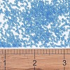 MIYUKI Delica Beads X-SEED-J020-DB1318-4