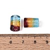 Handmade Lampwork Beads LAMP-N043-03-3