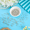50G Glass Seed Beads SEED-PA0001-36C-01-4
