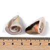 Natural Shiva Eye Shell Pendants SHEL-K009-17E-3