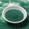 MIYUKI Round Rocailles Beads SEED-JP0010-RRHB169-3
