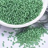 MIYUKI Round Rocailles Beads SEED-X0054-RR0646-1