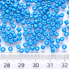 12/0 Baking Paint Glass Round Seed Beads SEED-S036-01A-11-3