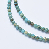 Natural Aqua Terra Jasper Beads Strands LS-G-E444-14A-4mm-3