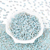 6/0 Glass Seed Beads SEED-N008-07C-2