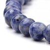 Natural Brazil Blue Spot Jasper Beads Strands G-S259-36-8mm-3