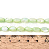 Natural Trochus Shell Beads Strands SHEL-K006-19-01C-4
