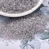 MIYUKI Delica Beads X-SEED-J020-DB1771-1