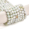 Natural Green Opal Beads Strands G-Z035-A02-03D-1