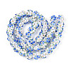 Handmade Lampwork Beads Strands LAMP-N021-015A-16-1