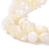 Natural Shell Beads BSHE-B003-19-4