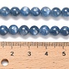 Natural Kyanite Beads Strands G-C259-B01-10mm-02-5