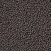 12/0 FGB Grade A Round Glass Seed Beads SEED-N001-A-1050-2