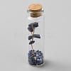 Natural Lapis Lazuli Chips Bonsai Tree in Column Glass Wish Bottles AJEW-WH0348-07E-1