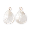 Natural Trochid Shell/Trochus Shell Pendants X-PALLOY-JF01393-1