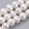 Natural Cultured Freshwater Pearl Beads Strands PEAR-N013-06E-1