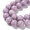 Natural Lepidolite Beads Strands G-H247-11C-3
