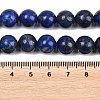 Natural Lapis Lazuli Bead Strands G-G953-03-10mm-6