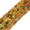 Natural Tourmaline Beads Strands G-P457-A02-14C-1