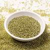 MIYUKI Round Rocailles Beads SEED-JP0010-RR1125-4