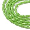 Opaque Glass Beads Strands GLAA-P001-03A-02-2