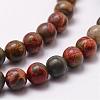 Natural Polychrome Jasper/Picasso Stone/Picasso Jasper Bead Strands G-D840-85-4mm-3