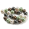 Polished Shell Pearl Bead Strands BSHE-F013-07D-2