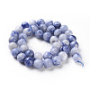 Natural Sodalite beads Strands G-F665-01-10mm-1