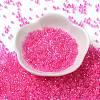Glass Seed Beads X-SEED-S042-13A-09-2