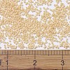 MIYUKI Delica Beads SEED-JP0008-DB1131-3