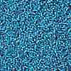 TOHO 11/0 Round Beads SEED-XTR11-0023BF-2