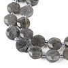 Natural Labradorite Beads Strands G-C116-A46-01-4