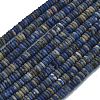 Frosted Natural Sodalite Beads Strands G-K389-C19-01-1
