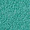 MIYUKI Round Rocailles Beads X-SEED-G008-RR0571-4