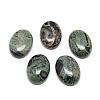 Natural Kambaba Jasper Cabochons G-R450-01-1