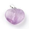 Natural Amethyst Pendants G-S219-17G-2