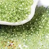 8/0 Glass Seed Beads SEED-Z001-C-E12-1