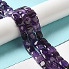 Natural Amethyst Beads Strands G-C109-A06-02-2