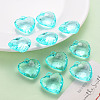 Transparent Acrylic Pendants TACR-T024-03B-946-6