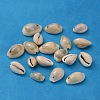 Natural Cowrie Shell Beads X-BSHE-S047-1